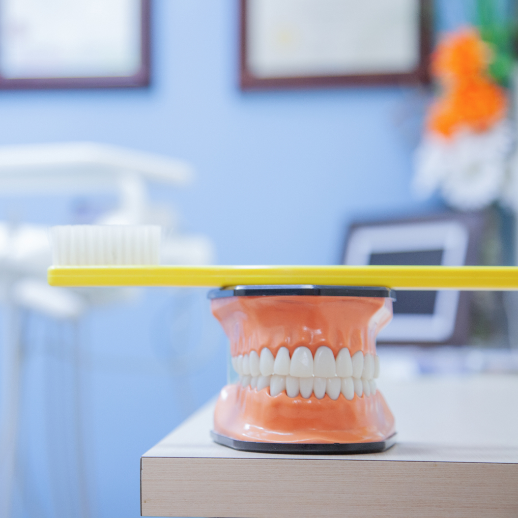 Modèle de dents en plastique avec une brosse à dents jaune posée horizontalement au dessus dans une salle de clinique dentaire